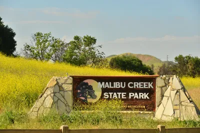 DSC_6471 (Large).JPG